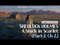 Sherlock Holmes - A Study In Scarlet - CHAPTER II. | Classic Audiobook | Fall Asleep to Literature