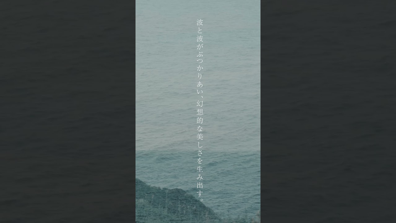 making of portraitly:海