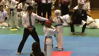 890東海　れいな選手　優勝　中日本空手道大会　2015.10.18