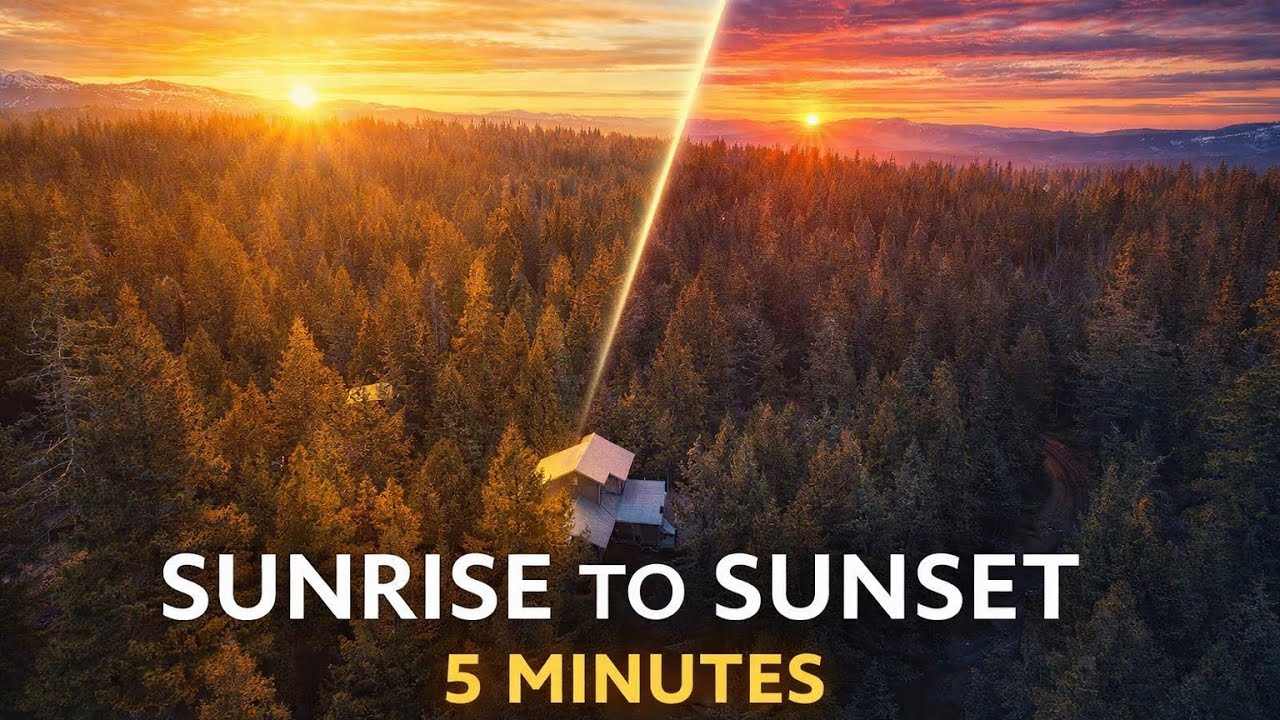 I Filmed the California Redwoods for 24 Hours... in 5 Minutes. #colorgrading #morningmotivation 