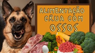 ALIMENTAÇÃO CRUA COM OSSOS - PASTOR ALEMÃO EM APARTAMENTO