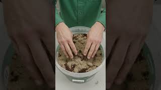 Full Preparing egg-laying containers for grasshoppers. Guide