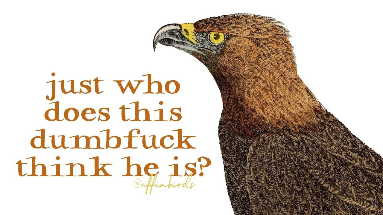 No going off in 2026