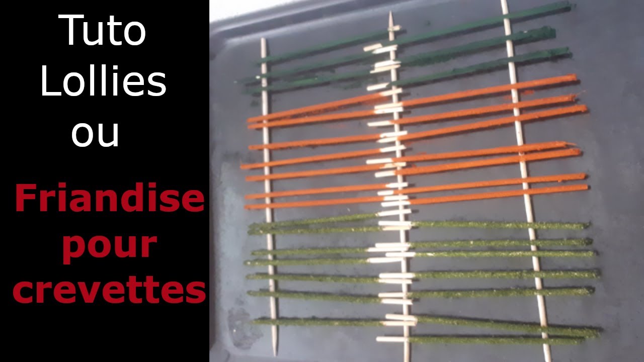 #TUTO fabriquer ses LOLLIES pour crevettes ( friandises )