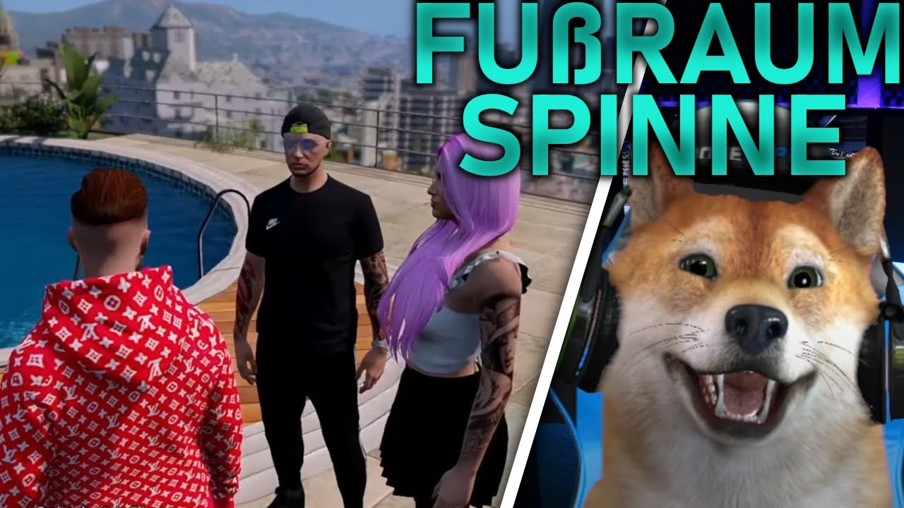 FUßRAUMSPINNE TREIBT IHR UNWESEN/ CSYON HIGHLIGHT/ RLO 2.0