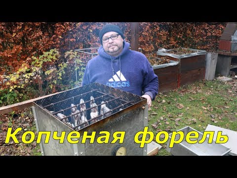 Вопрос: Как коптить форель?