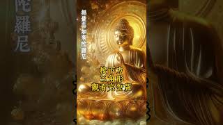 聆聽30秒，《無量壽如來陀羅尼》業障阻礙瞬間清除  #阿彌陀佛 #修行 #佛法 #十小咒