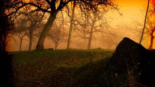 Bruma - Towards the Heart of Night