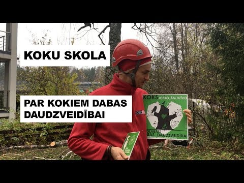 Video: "Dīvaini Koki". Patiesais Stāsts, Kas Joprojām Paliek Noslēpums - Alternatīvs Skats