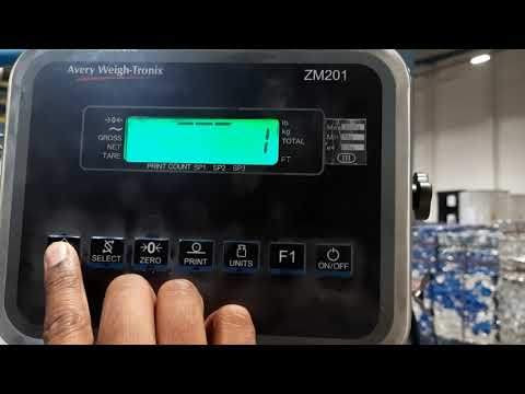Avery weigh-Tronix ZM201