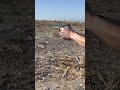 CZ P10F
