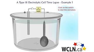 WCLN - Chemistry - Electrolytic Cells - Type 3 Time Lapse