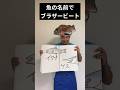 魚の名前でブラザービート【Snow Man】