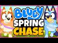 Bluey Spring Chase! 🌼 Kindergarten Movement Activity