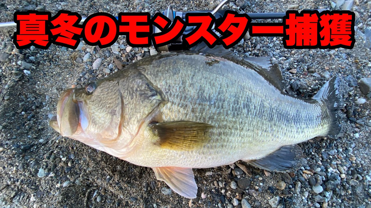 やばいのつれました - YouTube