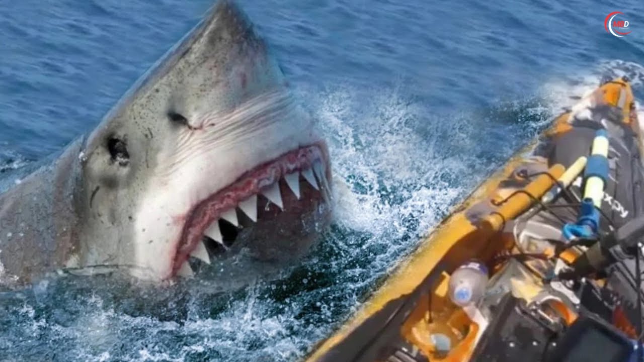 When Fishing Goes Wrong: 85 INSANE Moments Caught on Camera!