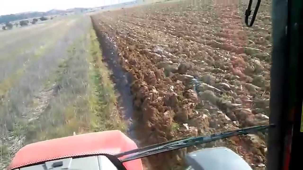 NEW MASSEY FERGUSON MF 5600 SERIES (5609). ARADA CON ARADO KVERNELAND