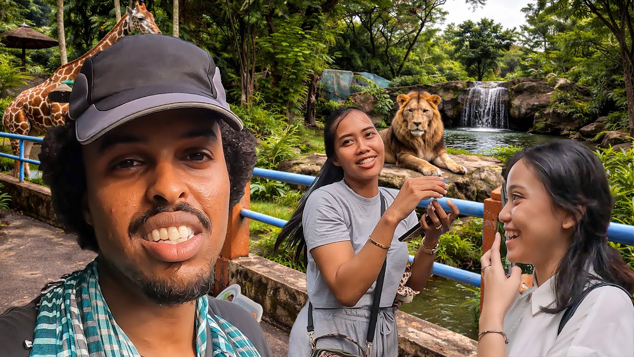 Я посетил самый коррумпированный зоопарк в мире (Сурабая).