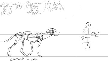 Quadruped Walk cycle