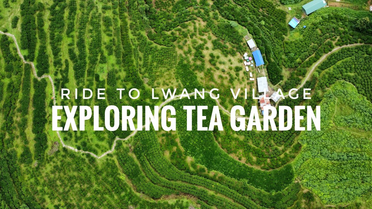 Exploring Lwang village | Typical Nepali Gurung Village |Tea Garden ...