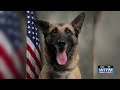 PETA’s founder offers robot dog if Pitt County Sheriff’s Office ends K9 program