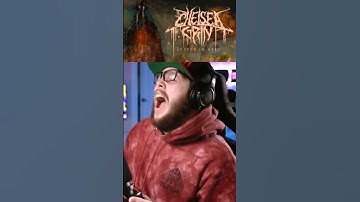 Thumbnail of THE BEST BLEGH BREAKDOWN YOU WILL EVER HEAR!😱
