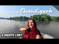 Chandigarh surprised me  city tour top tourist places and hotels