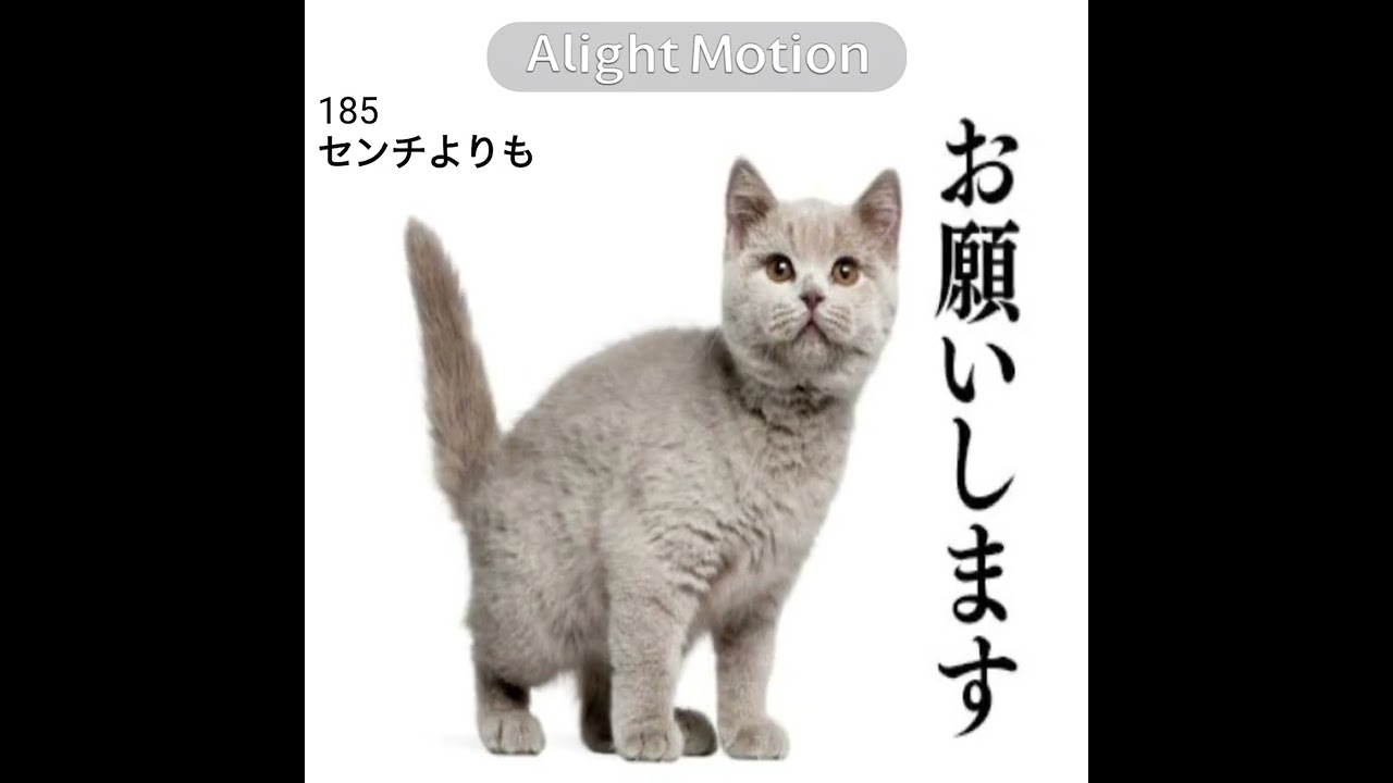 Random edit #fypppp #edit #alightmotion