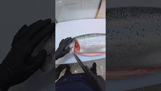 Mastering the Art of Salmon Filleting 19 n