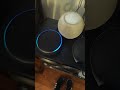 Alexa patuda 😂🤣