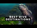 Top 5 Best Dive Destinations in the World