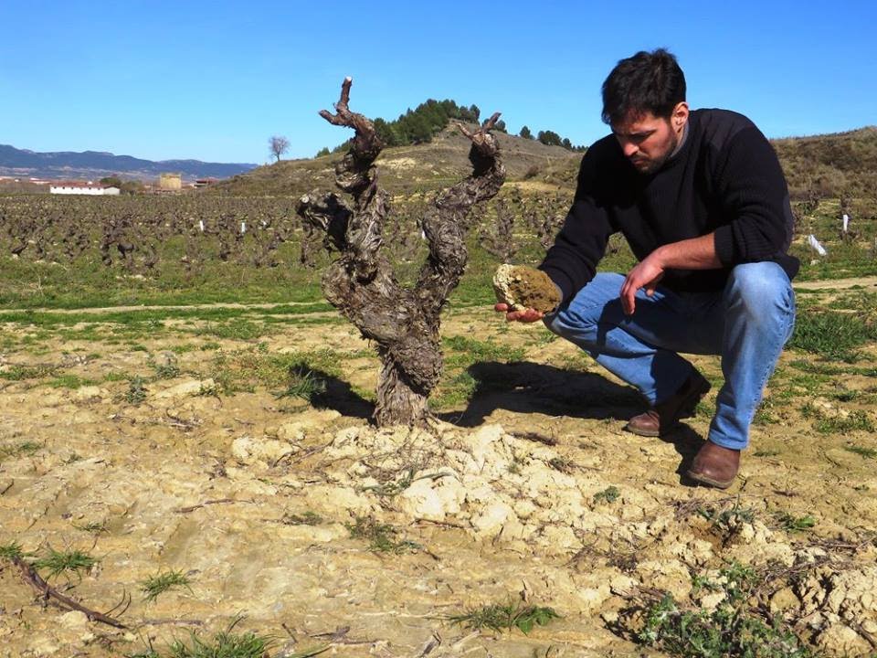 Terroir Definition Environmental Conditions of Wine and Vineyards YouTube