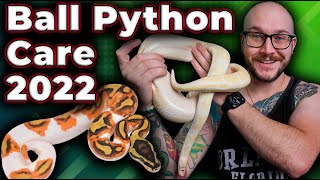 Ball Python Complete Care Guide 2022 | The RIGHT WAY and What Has Changed!