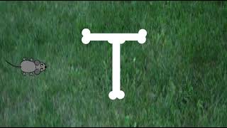 Fyreson's Cartoon Network Asia Letter Bumpers: T Is For T's T-Bone (UNFINISHED)