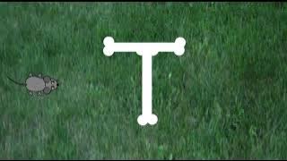 Fyreson's Cartoon Network Asia Letter Bumpers: T Is For T's T-Bone (UNFINISHED)