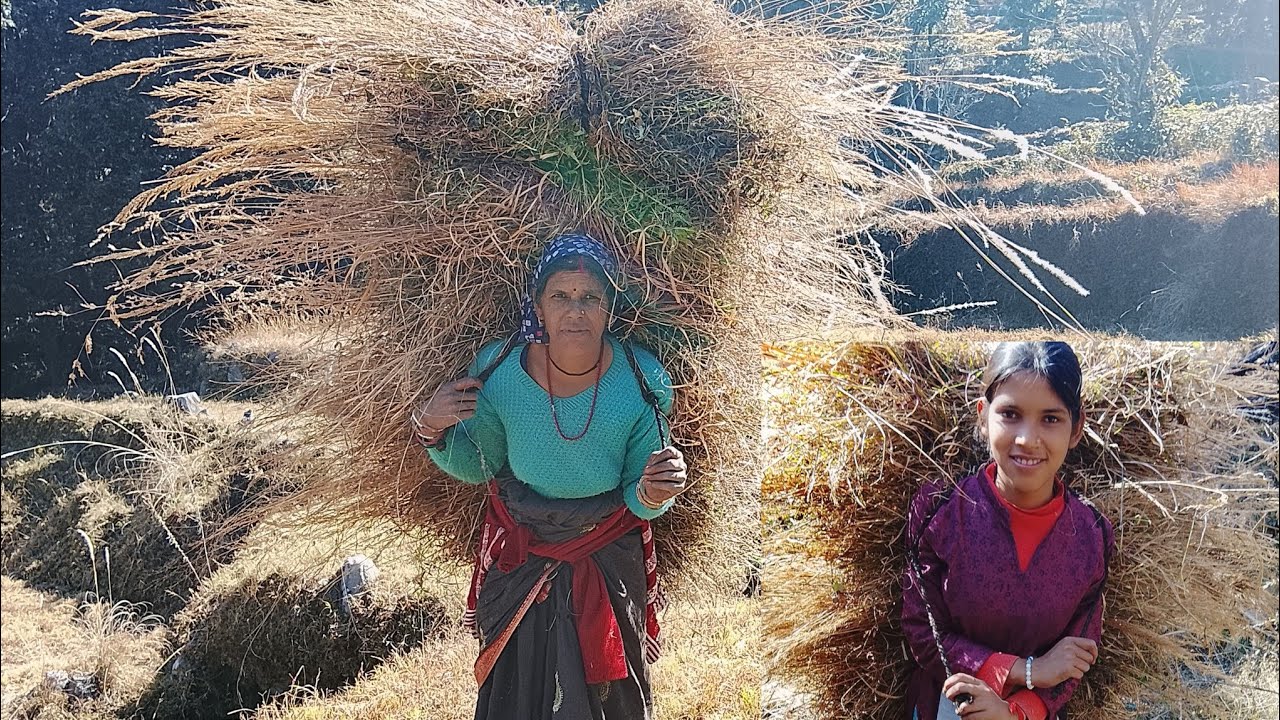 आज गये हम घास के ली मै और माँ 👈@AishaNegivlog 