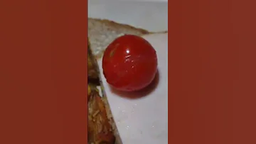 Yummy Sandwich Bread Foodlover Yummy Shortvideo 