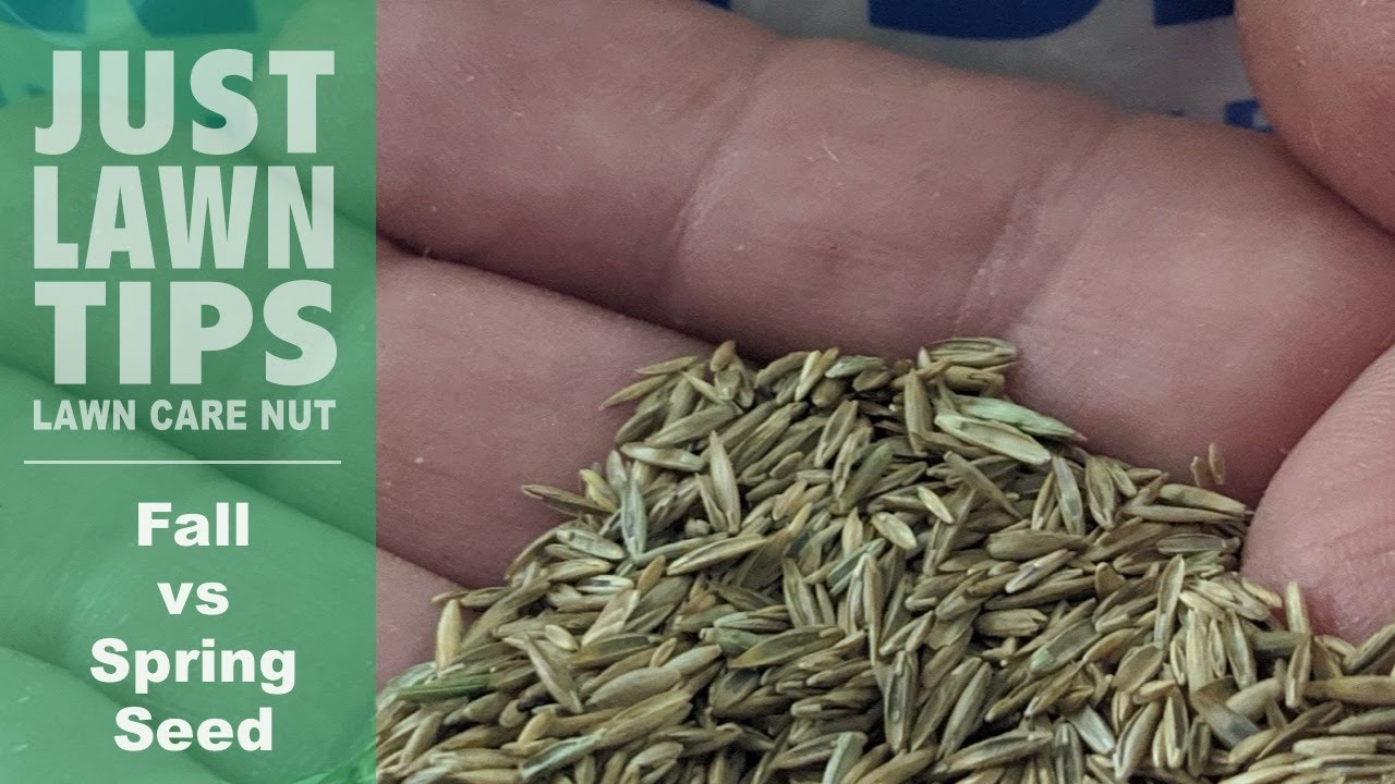 Why You Should Seed Your Lawn In Fall Time - Cool Season Lawns