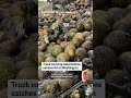Truck carrying watermelons catches fire in Washington
