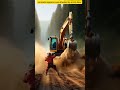 Hug animal attacking excavator #animals #trending #shorts