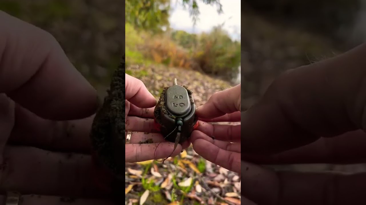 Method Feeder Best For Fishing In The Spring Hobby Carp Fish Carpfish Nature