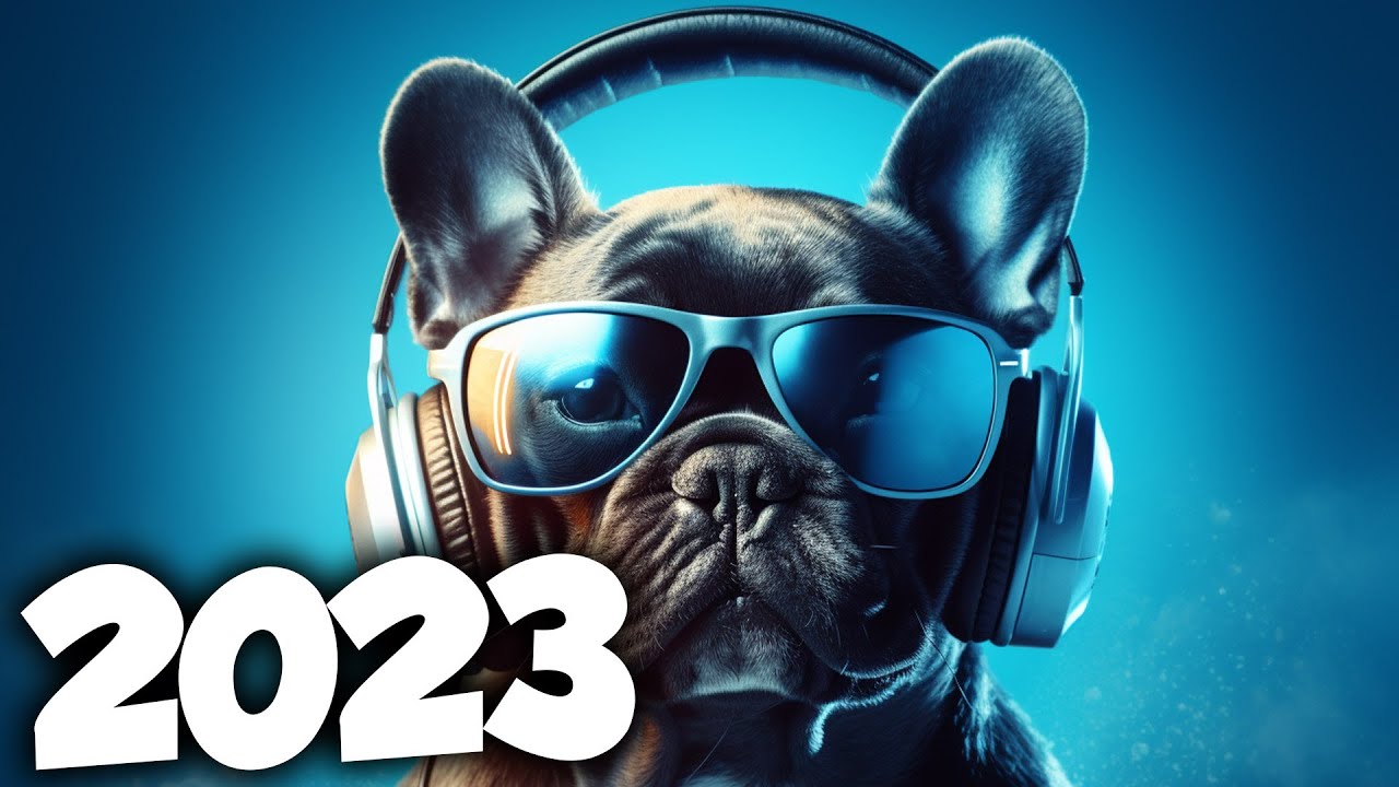 Eletrônicas 2023 ∙ House & Eletrônico ∙ Electronic ∙ Club Hits ∙ Dance  Music ∙ Alok ∙ Tiësto - playlist by Topsify Brasil