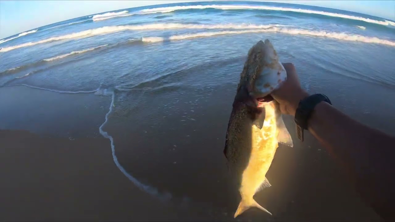 Zenaq PA99 is the best light surfing rod (Narooma, NSW, Australia