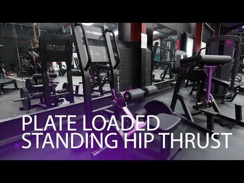 Peach Builder Plate Loaded Standing Hip Thrust (Glute Drive)