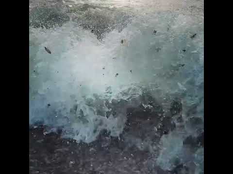 ELEMENTAL MAGICK : SUSURRUS