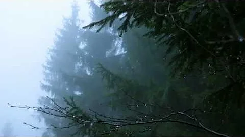 Sounds for Deep Sleep, Relaxation 10 Hours / Rain ...