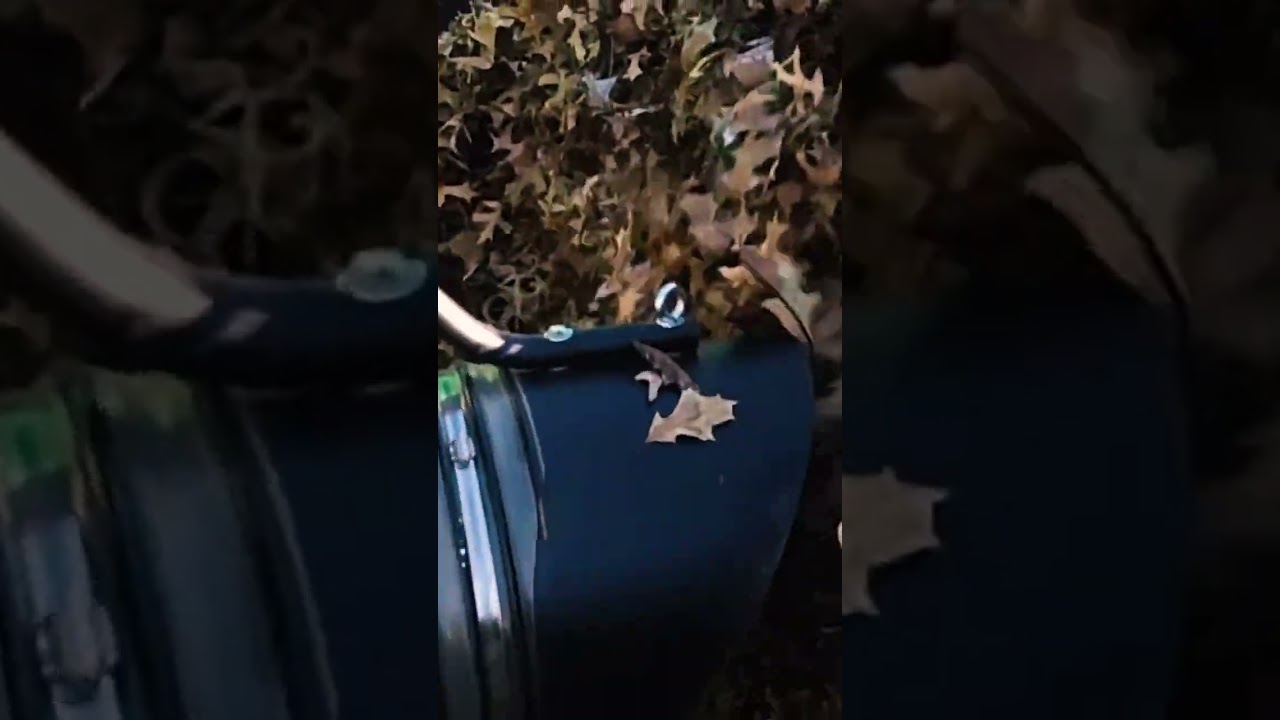 Fall season cleaning