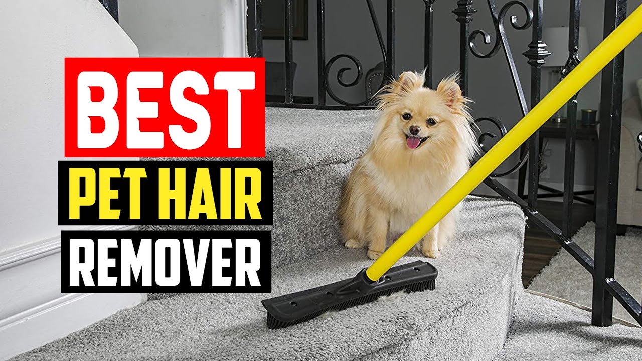 ✓Top 5 Best Pet Hair Remover in 2023 