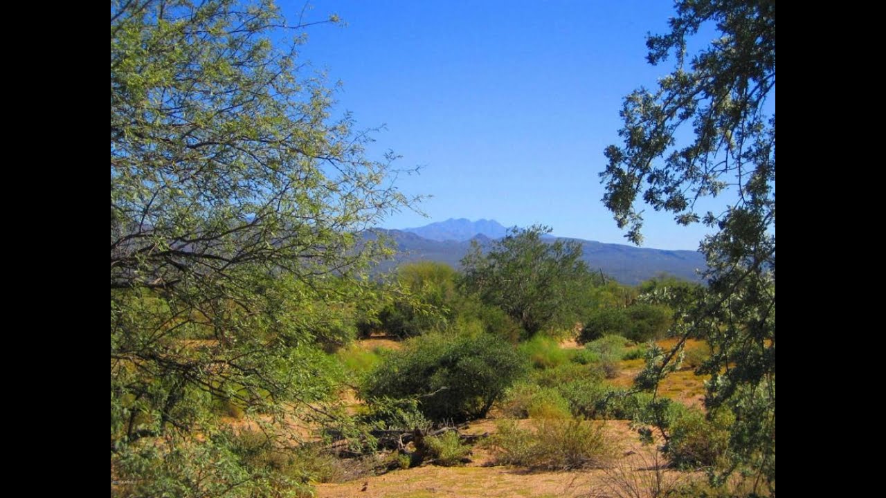 Lots And Land for sale 17210 E Windstone (5+/ ACRES) Trail