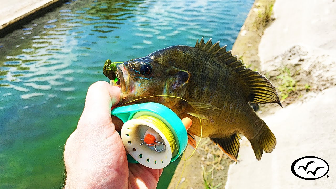 Fishing a Tiny Ditch - Rodless Reel